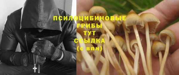 MESCALINE Богданович