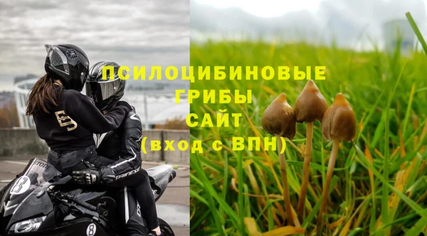 не бодяженный Богородицк