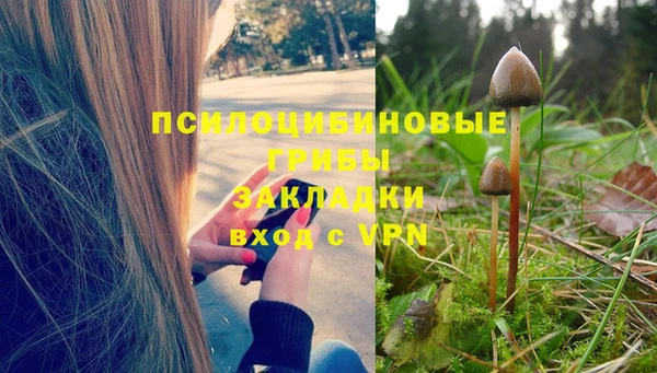 MESCALINE Богданович