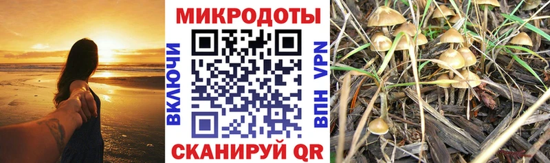 Псилоцибиновые грибы MAGIC MUSHROOMS  Волгореченск 